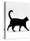Domestic Cat, Black Short-Hair Male, Walking Profile-Jane Burton-Premier Image Canvas