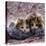 Domestic Cat Kittens, 8-Weeks, Tortoiseshell-And-White Sisters, (Persian-Cross')-Jane Burton-Premier Image Canvas