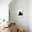 Domestic Cat, Young Black Male-Jane Burton-Premier Image Canvas displayed on a wall