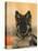 Domestic Dog, German Shepherd Alsatian Juvenile. 5 Months Old, with Rawhide Bone-Petra Wegner-Premier Image Canvas