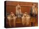 Domestic Dogs, Four Yorkshire Terriers on a Table with Hair Tied up and Very Long Hair-Adriano Bacchella-Premier Image Canvas