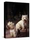 Domestic Dogs, Two West Highland Terriers / Westies, One Sitting on a Chair-Adriano Bacchella-Premier Image Canvas