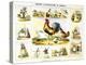 Domestic Fowl, C1850-Benjamin Waterhouse Hawkins-Premier Image Canvas