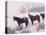 Domestic Horses, in Snow, Colorado, USA-Lynn M. Stone-Premier Image Canvas