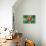 Dominica Flag-daboost-Stretched Canvas displayed on a wall