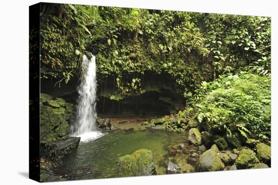 Dominica, Morne Trois Pitons, Tourists Visiting Emerald Pool-Anthony Asael-Premier Image Canvas