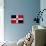 Dominican Republic Flag Design with Wood Patterning - Flags of the World Series-Philippe Hugonnard-Stretched Canvas displayed on a wall