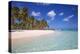 Dominican Republic, Punta Cana, Parque Nacional Del Este, Saona Island, Canto De La Playa-Jane Sweeney-Premier Image Canvas