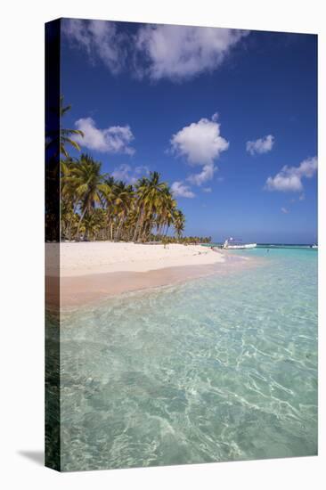 Dominican Republic, Punta Cana, Parque Nacional Del Este, Saona Island, Canto De La Playa-Jane Sweeney-Premier Image Canvas