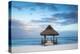 Dominican Republic, Punta Cana, Playa Blanca, Wooden Pier with Thatched Hut-Jane Sweeney-Premier Image Canvas