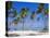 Dominican Republic, Punta Cana, West Indies-Jeremy Lightfoot-Premier Image Canvas
