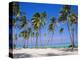 Dominican Republic, Punta Cana, West Indies-Jeremy Lightfoot-Premier Image Canvas