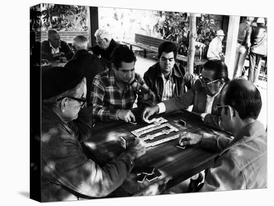 Domino Players in Little Havana, C.1985-null-Premier Image Canvas