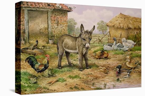 Donkey and Farmyard Fowl-Carl Donner-Premier Image Canvas