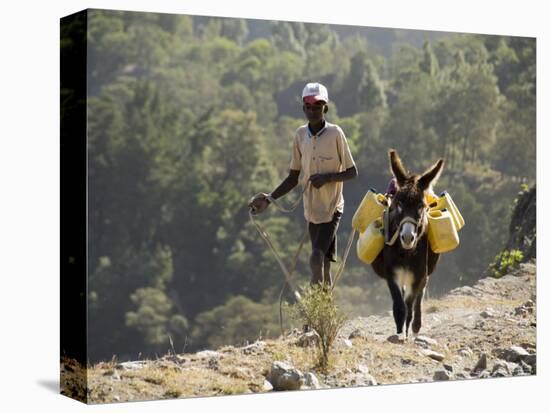 Donkey Carrying Water, Santo Antao, Cape Verde Islands, Africa-R H Productions-Premier Image Canvas