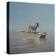 Donkey on the River-Lincoln Seligman-Premier Image Canvas