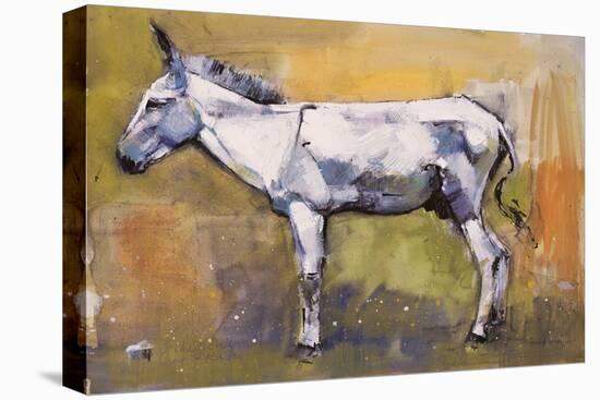 Donkey Stallion, Ronda, 1998-Mark Adlington-Premier Image Canvas