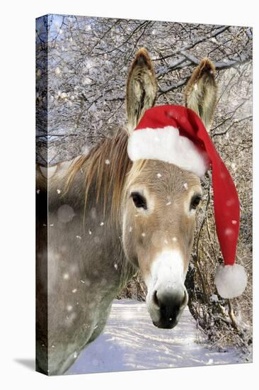 Donkey Wearing Christmas Hat in Snowy Scene-null-Premier Image Canvas