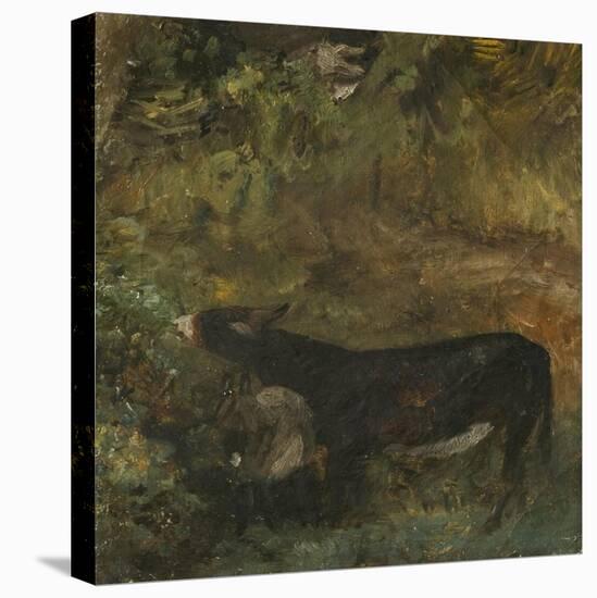 Donkey with Foal: Study for The Cornfield-John Constable-Premier Image Canvas