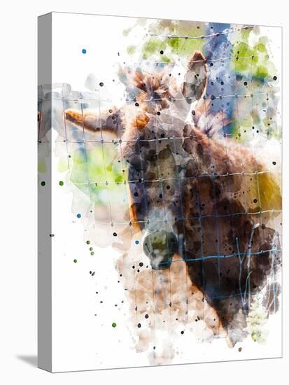 Donkey-Chamira Young-Stretched Canvas