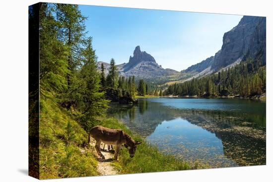 Donkeys at the edge of Lake Federa, Dolomites, Italy-Konrad Wothe-Premier Image Canvas