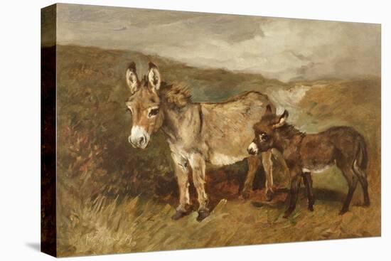 Donkeys out on the Moor, C.1890 (Oil on Canvas)-John Emms-Premier Image Canvas