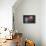 Donut Balloon-Octavian Mielu-Stretched Canvas displayed on a wall