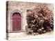 Door and Pink Oleander Flowers, Lucardo, Tuscany, Italy-Michele Molinari-Premier Image Canvas