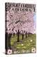 Door County, Wisconsin - Cherry Blossoms-Lantern Press-Stretched Canvas