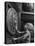 Door of Federal Reserve Bank with Seals of the 6 New England States-Allan Grant-Premier Image Canvas