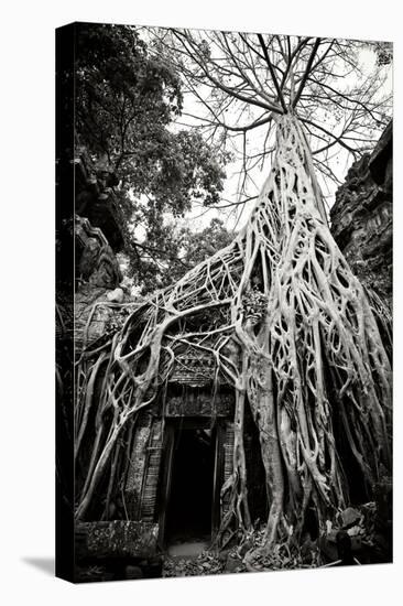 Doorway and Roots I-Erin Berzel-Premier Image Canvas