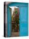 Doorway in Small Village, Cappadoccia, Turkey-Darrell Gulin-Premier Image Canvas