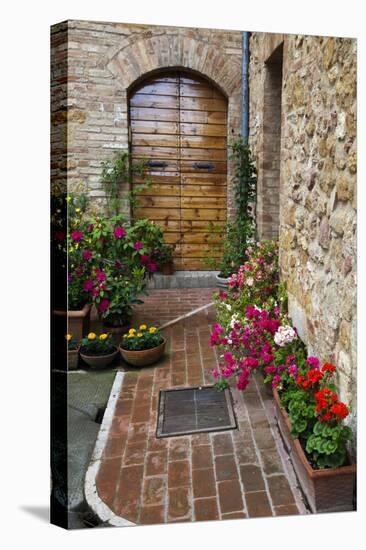 Doorway with Flowers, Pienza, Tuscany, Italy-Terry Eggers-Premier Image Canvas