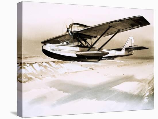 Dornier Wal, Twin-Engined German Flying Boat-null-Premier Image Canvas