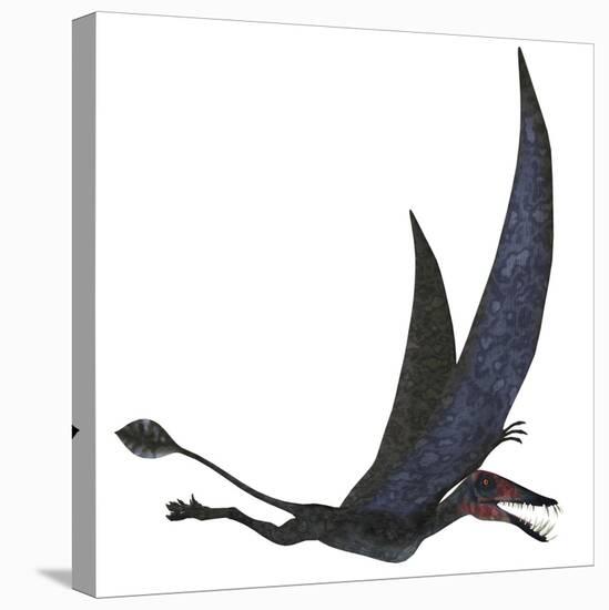 Dorygnathus Pterosaur from the Jurassic Period-Stocktrek Images-Stretched Canvas