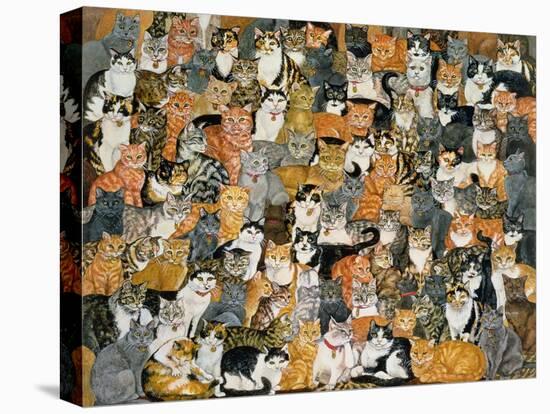 Double Cat-Spread-Ditz-Premier Image Canvas