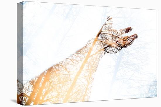 Double Exposure Arm and Hand-Sharpy Shooter-Premier Image Canvas