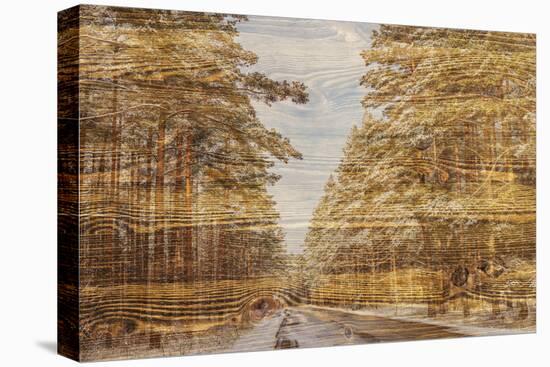 Double Exposure Trees on A Wooden Board Texture-Irina Jesikova-Premier Image Canvas