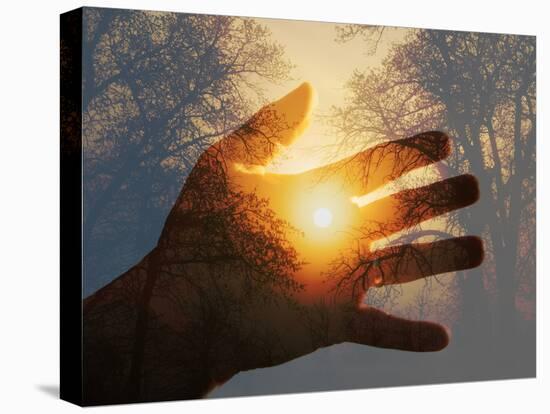 Double Exposure with a Sunrise behind Trees with a Hand-Sari ONeal-Premier Image Canvas