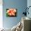 Double Hibiscus-Audrey-Premier Image Canvas displayed on a wall