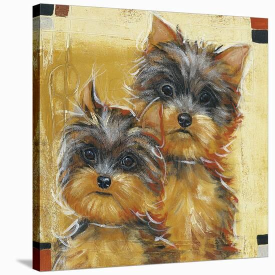 Double Trouble-Dupre-Stretched Canvas