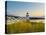 Doubling Point Light, Maine, New England, United States of America, North America-Alan Copson-Premier Image Canvas