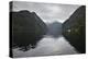 Doubtful Sound, Fiordland National Park, South Island, New Zealand, Pacific-Stuart Black-Premier Image Canvas