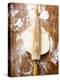 Dough with Rolling Pin-null-Premier Image Canvas