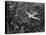 Douglas 4 Flying over Manhattan-Margaret Bourke-White-Premier Image Canvas