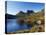 Dove Lake on 'Cradle Mountain-Lake St Clair National Park', Tasmania, Australia-Christian Kober-Premier Image Canvas