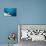 Dove on Wall by Sea-Felipe Rodriguez-Premier Image Canvas displayed on a wall
