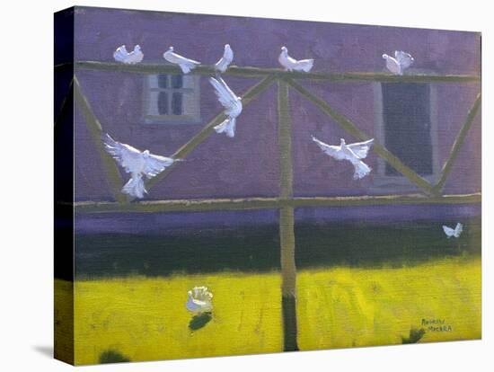 Doves, 1999-Andrew Macara-Premier Image Canvas