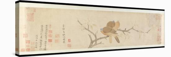 Doves and Pear Blossoms after Rain-Qian Xuan-Premier Image Canvas
