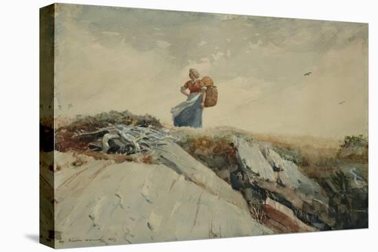 Down the Cliff, 1883-Winslow Homer-Premier Image Canvas